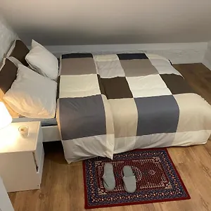 https://apt-fly-city-house.hotelsantwerp.net